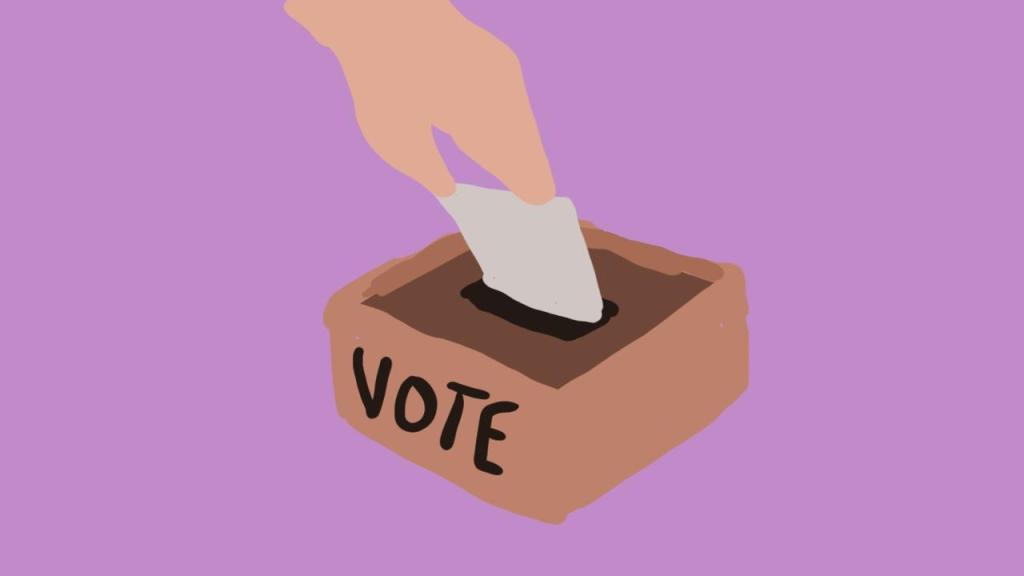 Why high school students should not be allowed to vote in elections